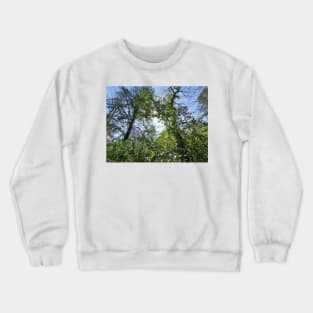 An endless forest Crewneck Sweatshirt